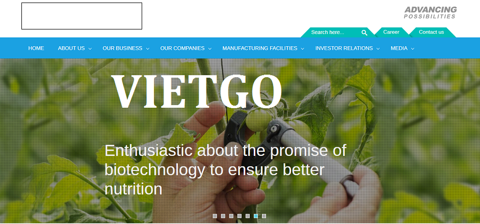 Bột bã sắn Vietgo